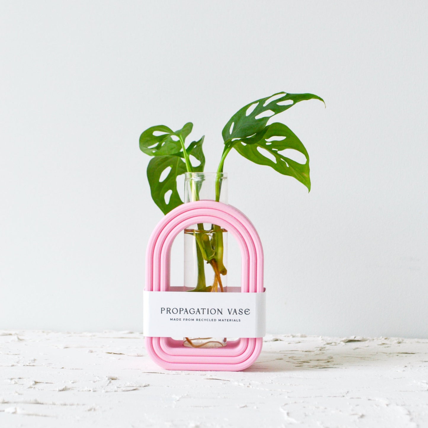 Bubble Arch Propagation Vase
