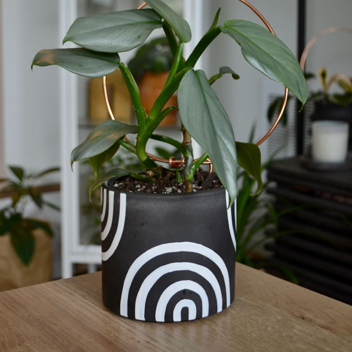 Hand-painted Charcoal Rainbow Planter