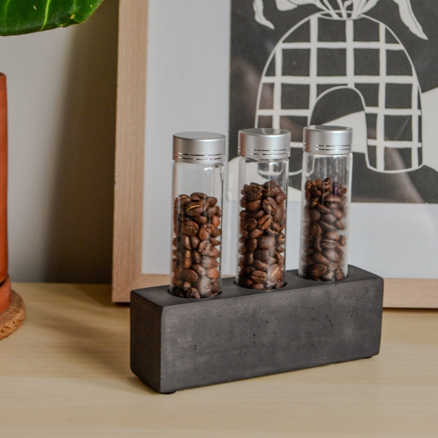 Coffee bean storage test tube set of 3