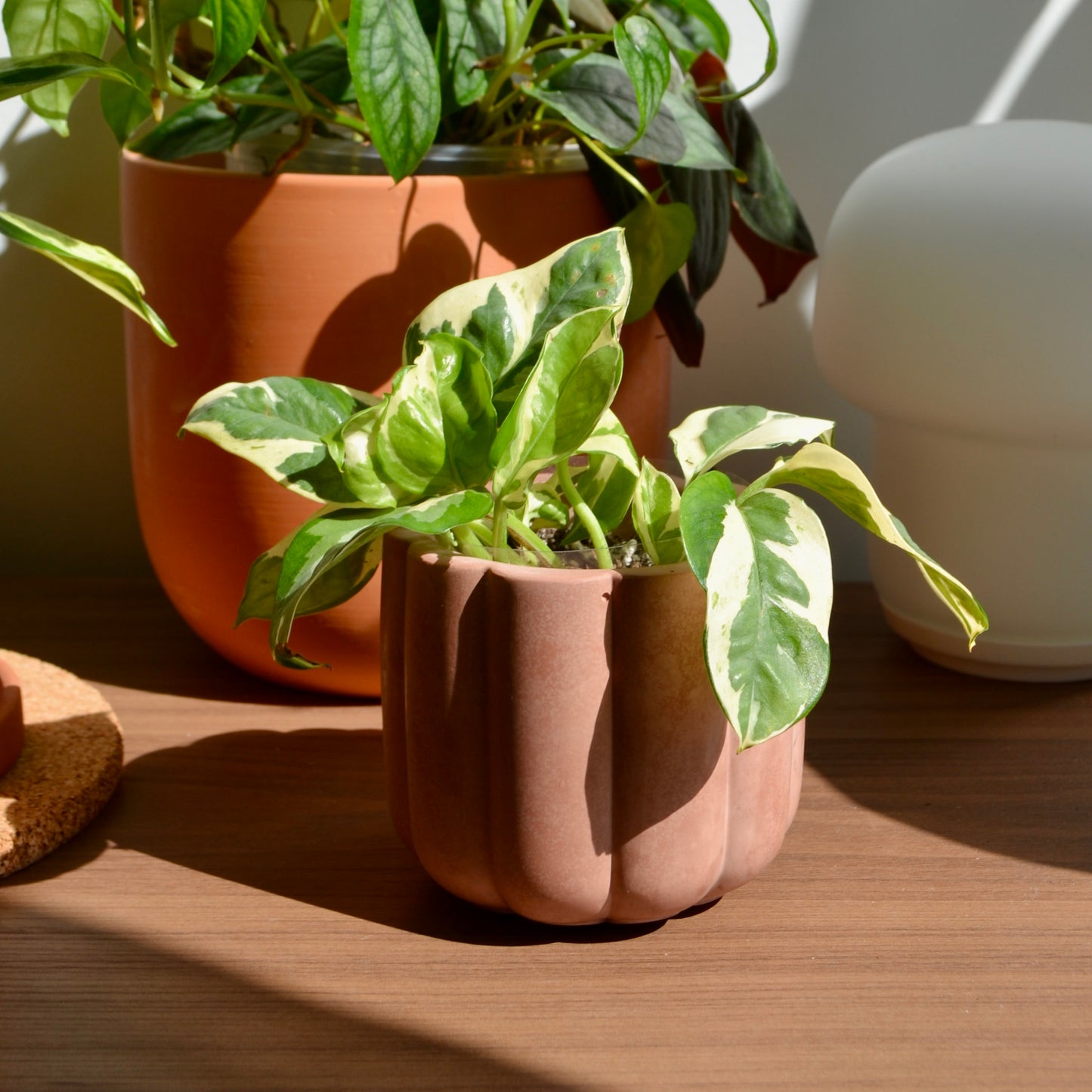 Fluted Planter