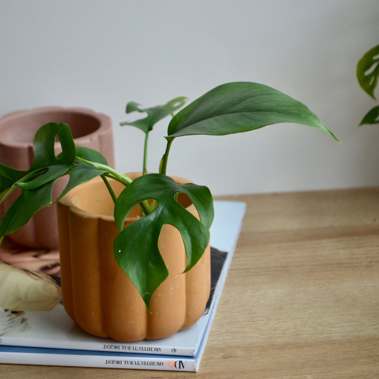 Fluted Planter