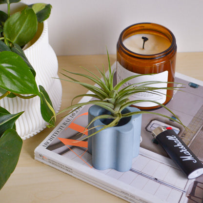 Daisy Airplant Holder