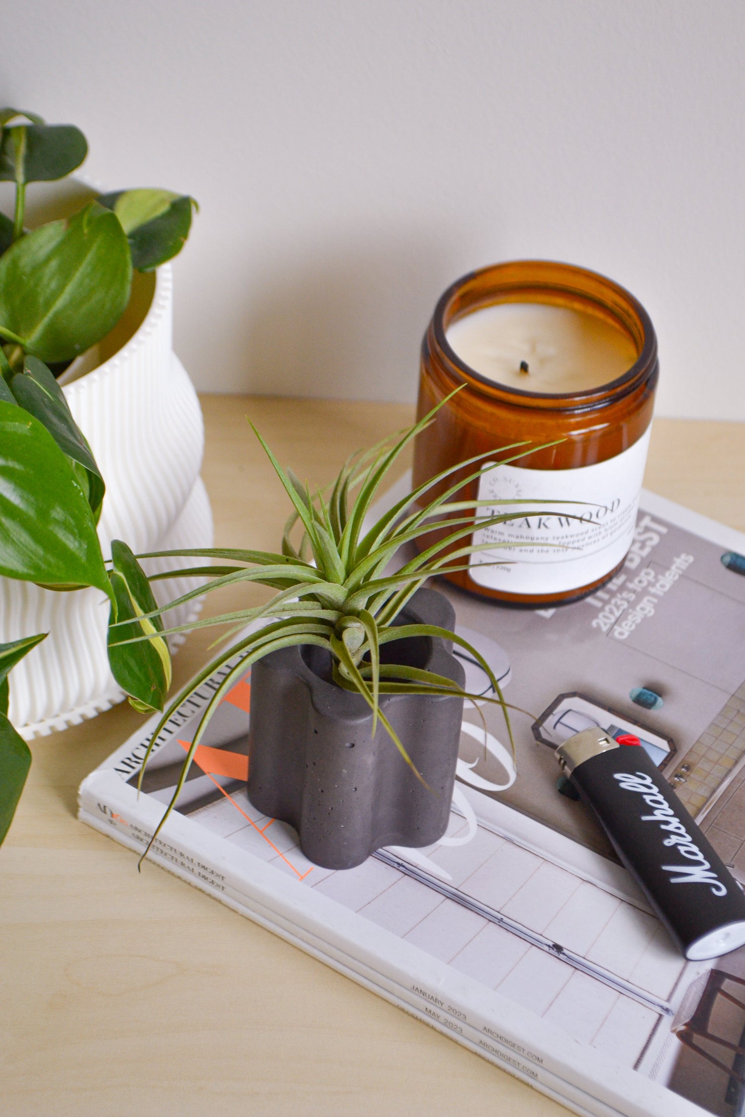 Airplant Holder