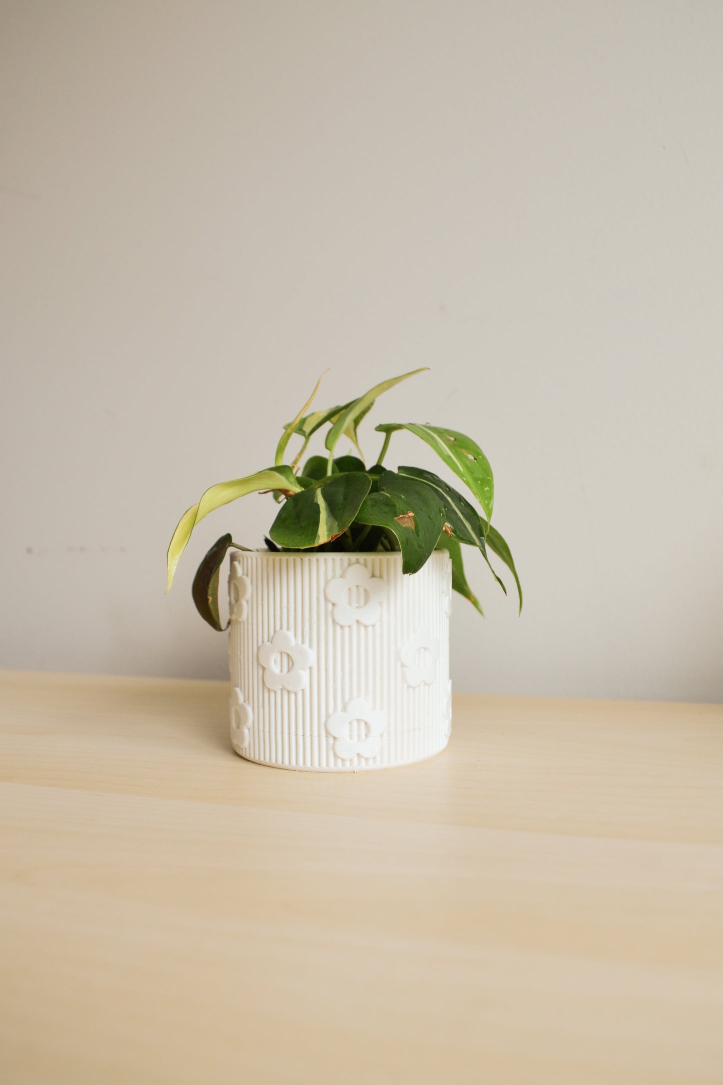 Daisy Planter with Detachable Drainage Tray