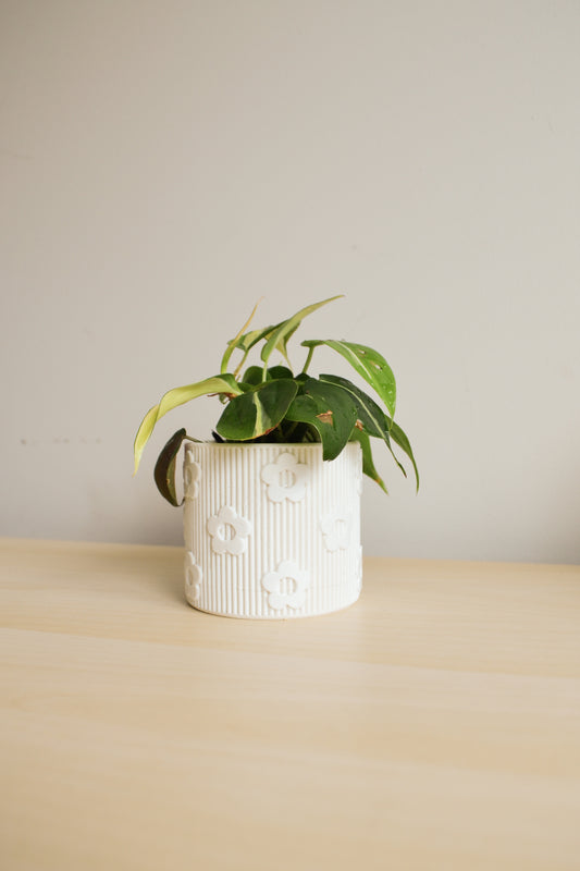 Daisy Planter with Detachable Drainage Tray