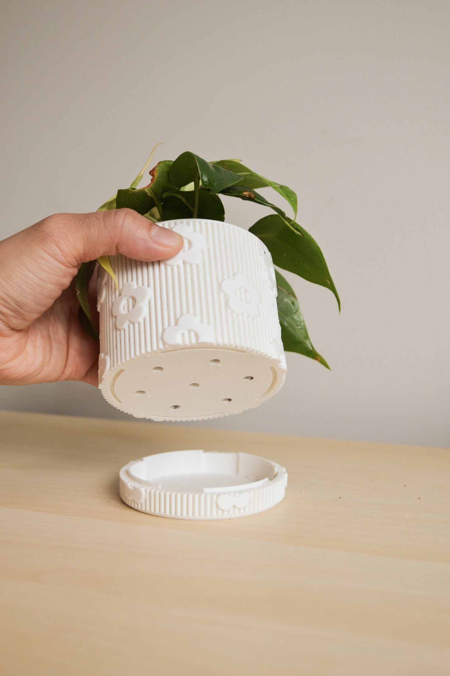 Daisy Planter with Detachable Drainage Tray