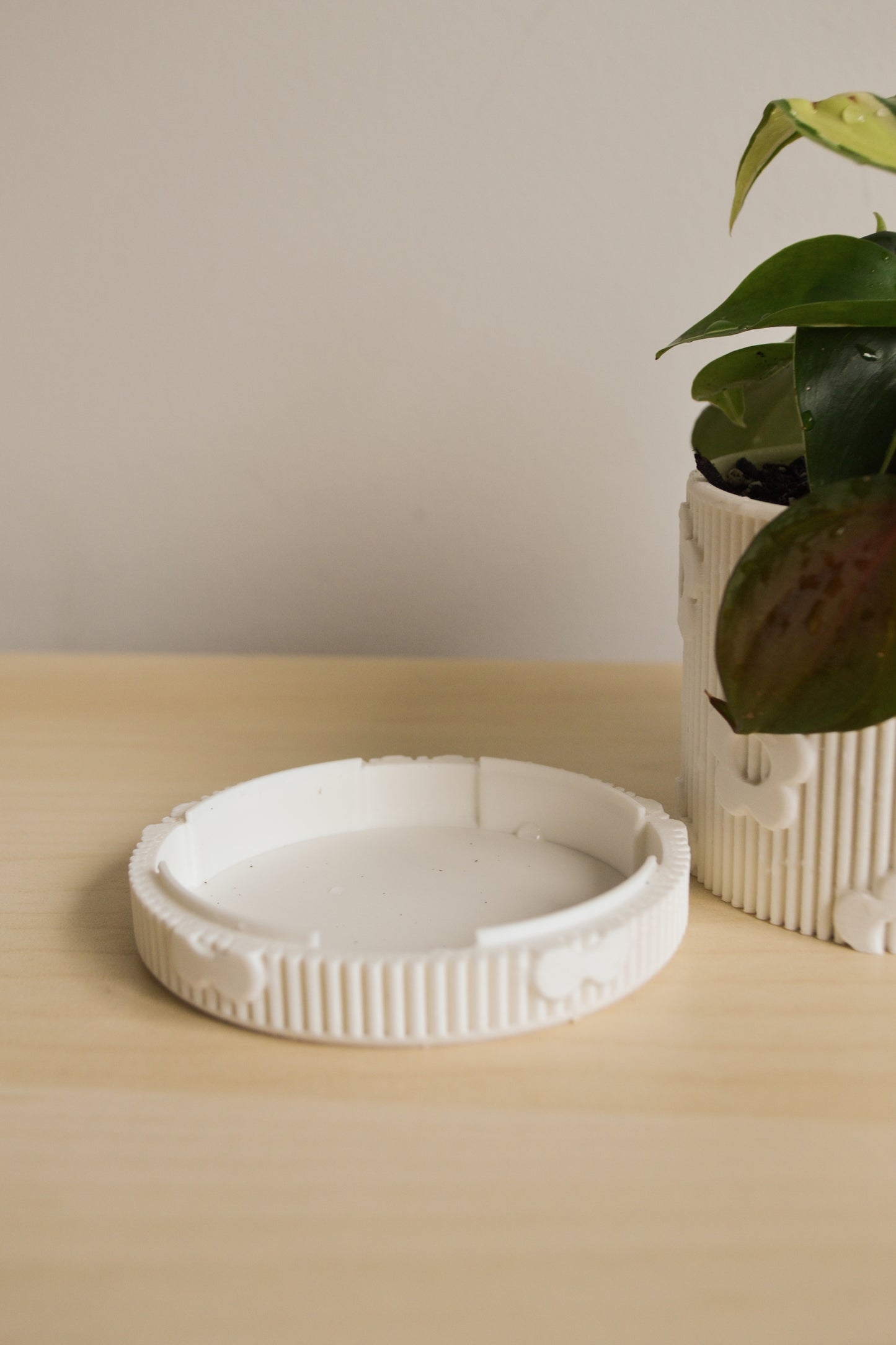 Daisy Planter with Detachable Drainage Tray