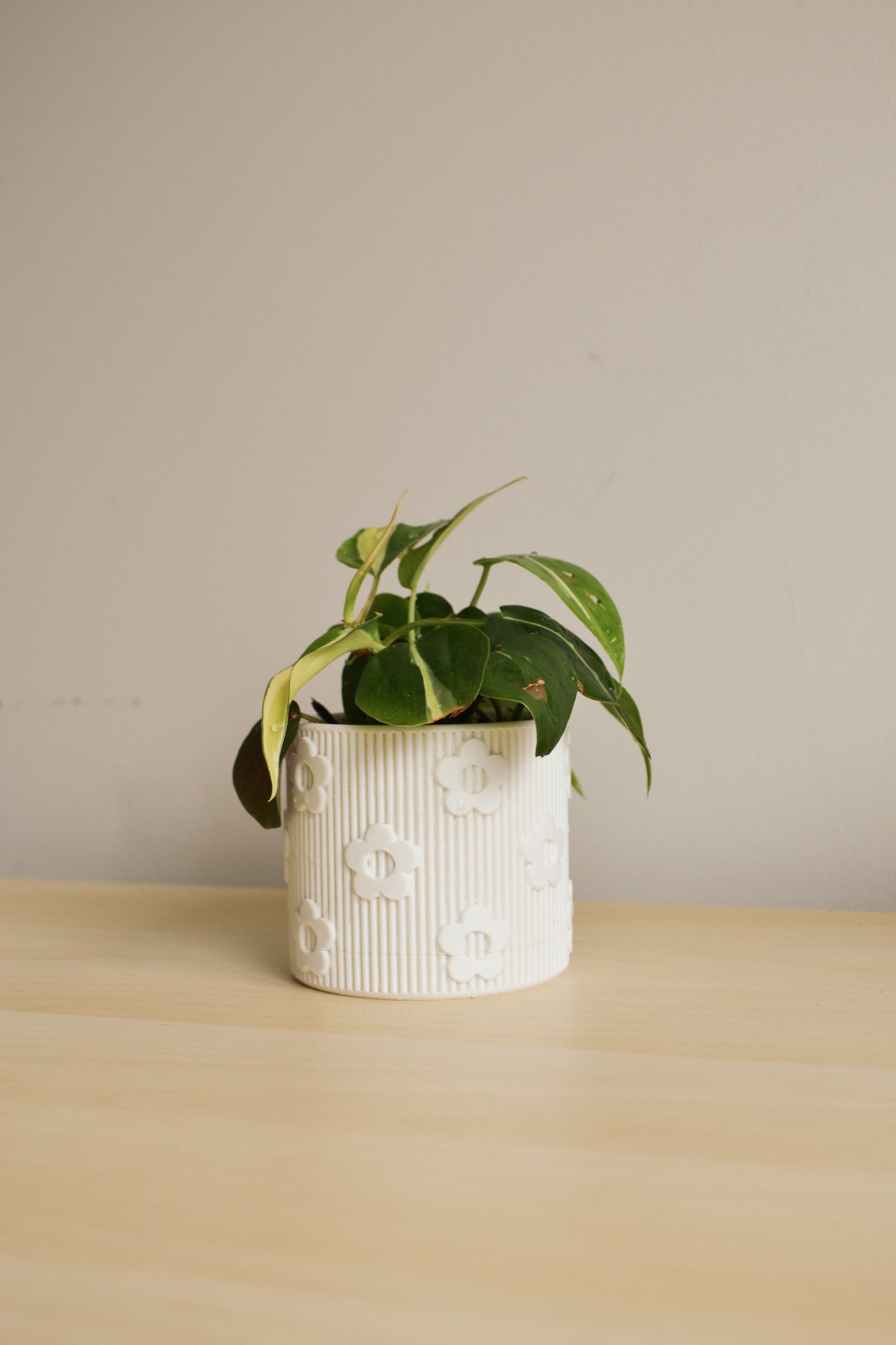 Daisy Planter with Detachable Drainage Tray