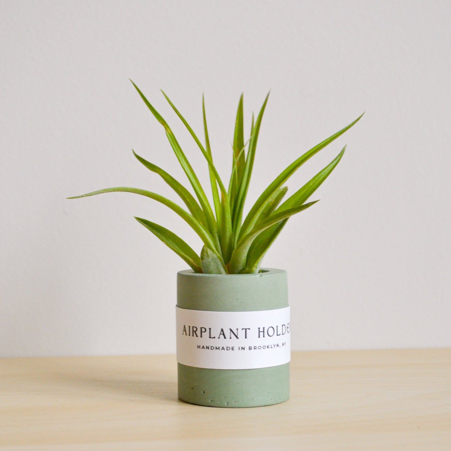 Solid Round Airplant Holder