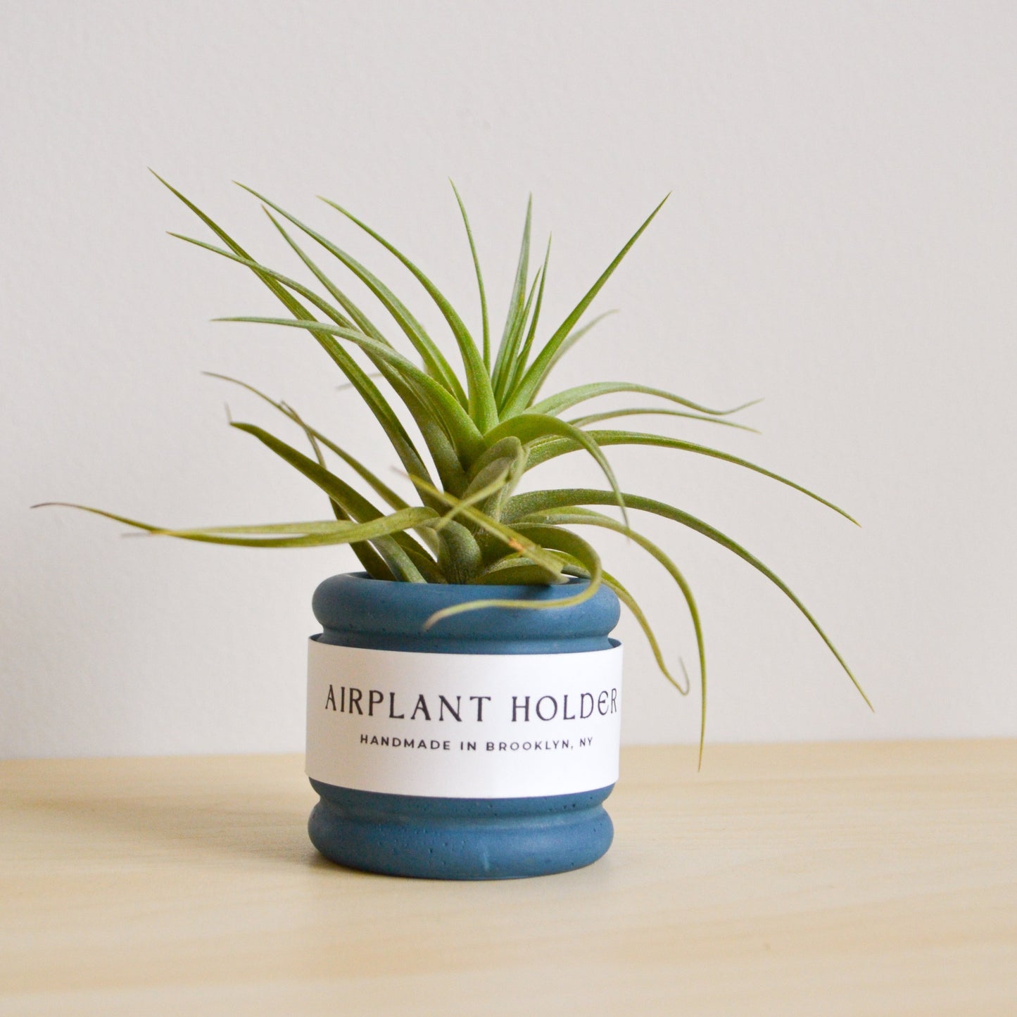 Bubble Airplant Holder