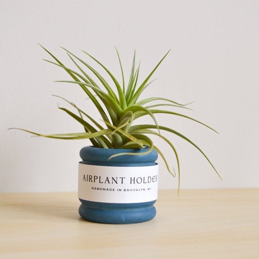 Bubble Airplant Holder
