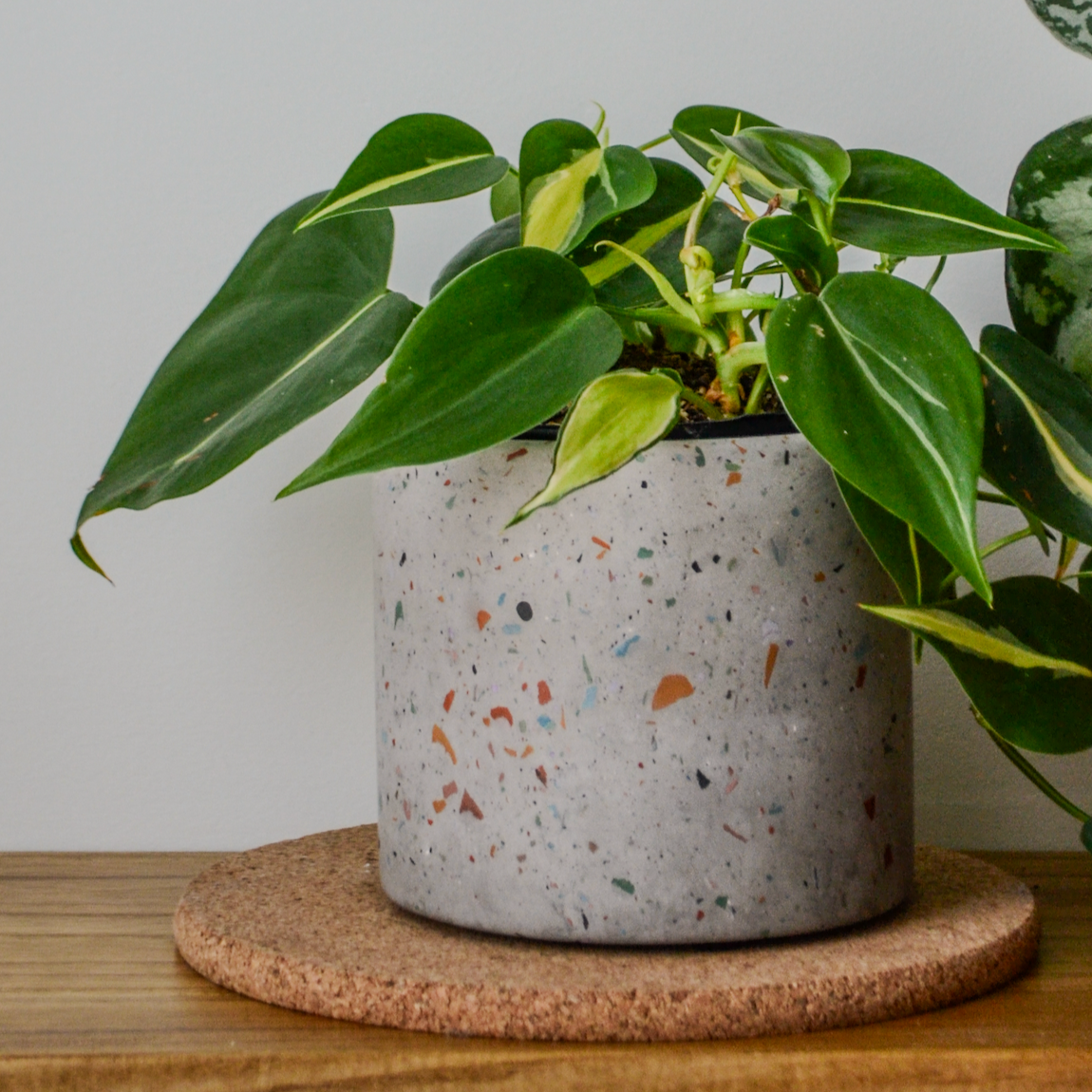 Zero Waste Terrazzo Planter