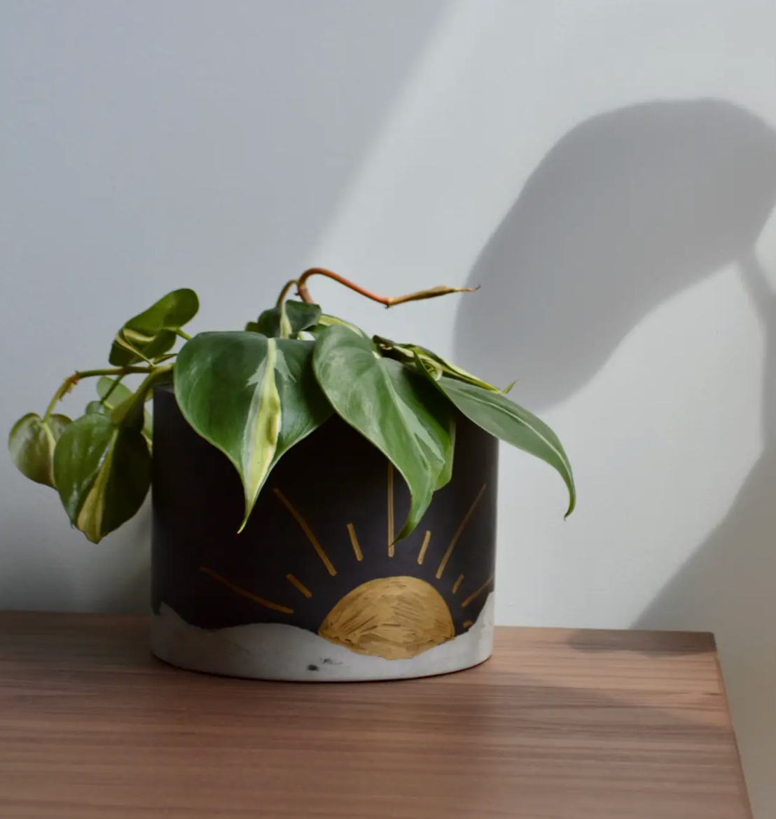 Planters