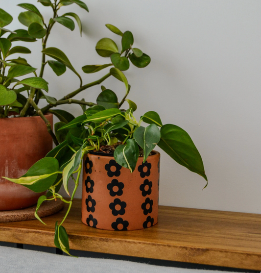 Daisy Planter