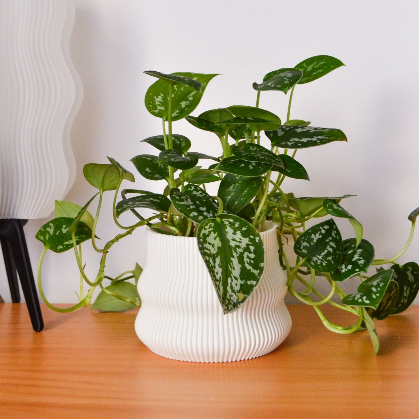 Bubble Planter