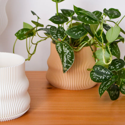Bubble Planter