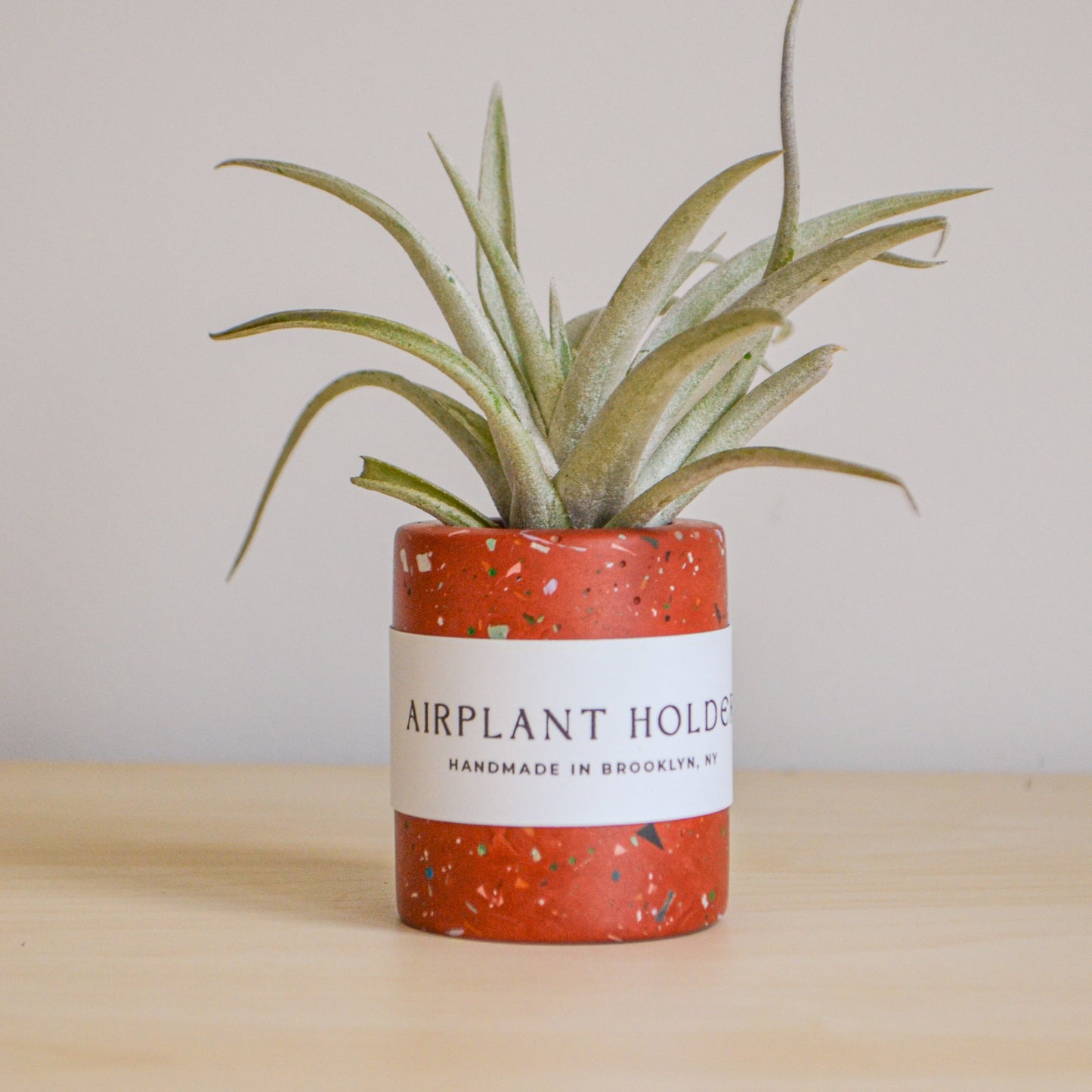 Zero Waste Airplant Holder