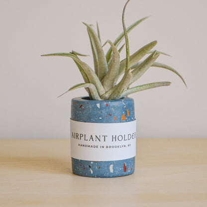 Zero Waste Airplant Holder