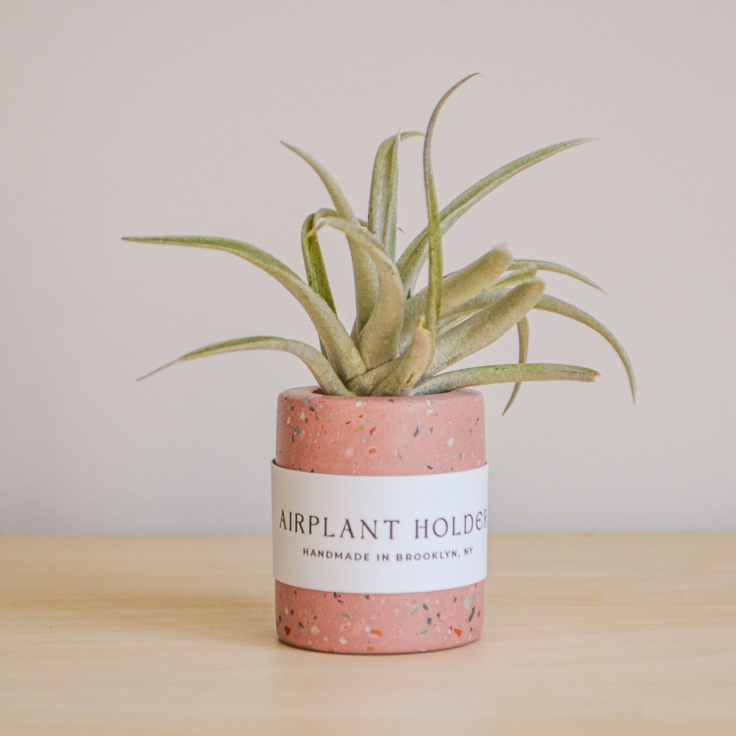 Zero Waste Airplant Holder