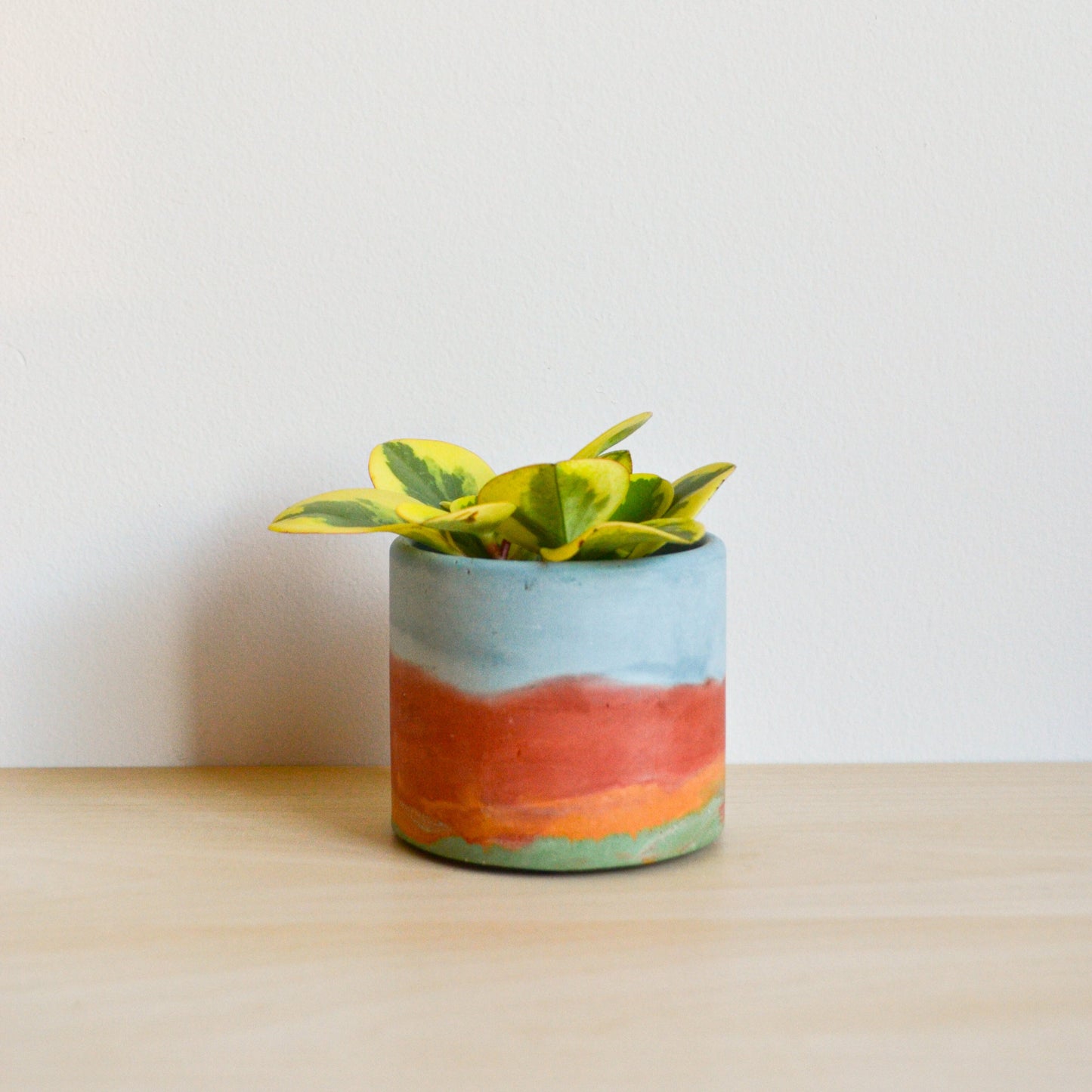 Watercolor Planter