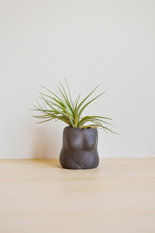 Boobie Airplant Holder