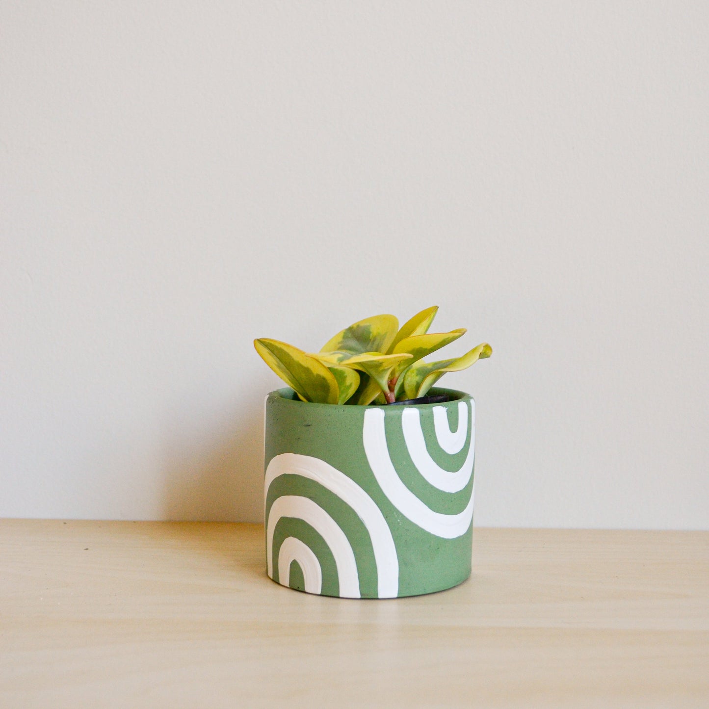 Hand-painted Mint Green Rainbow Planter