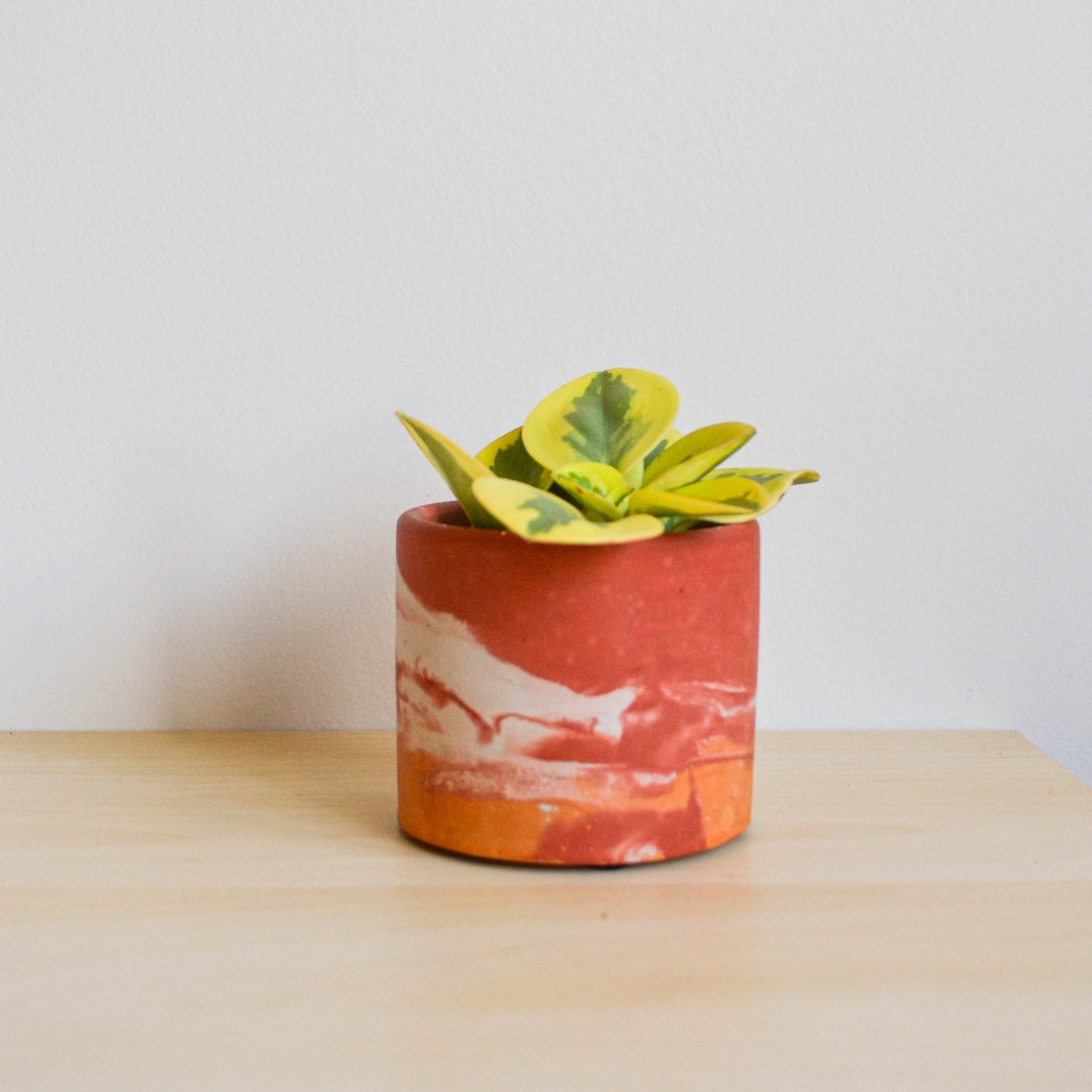 Red Watercolor Planter