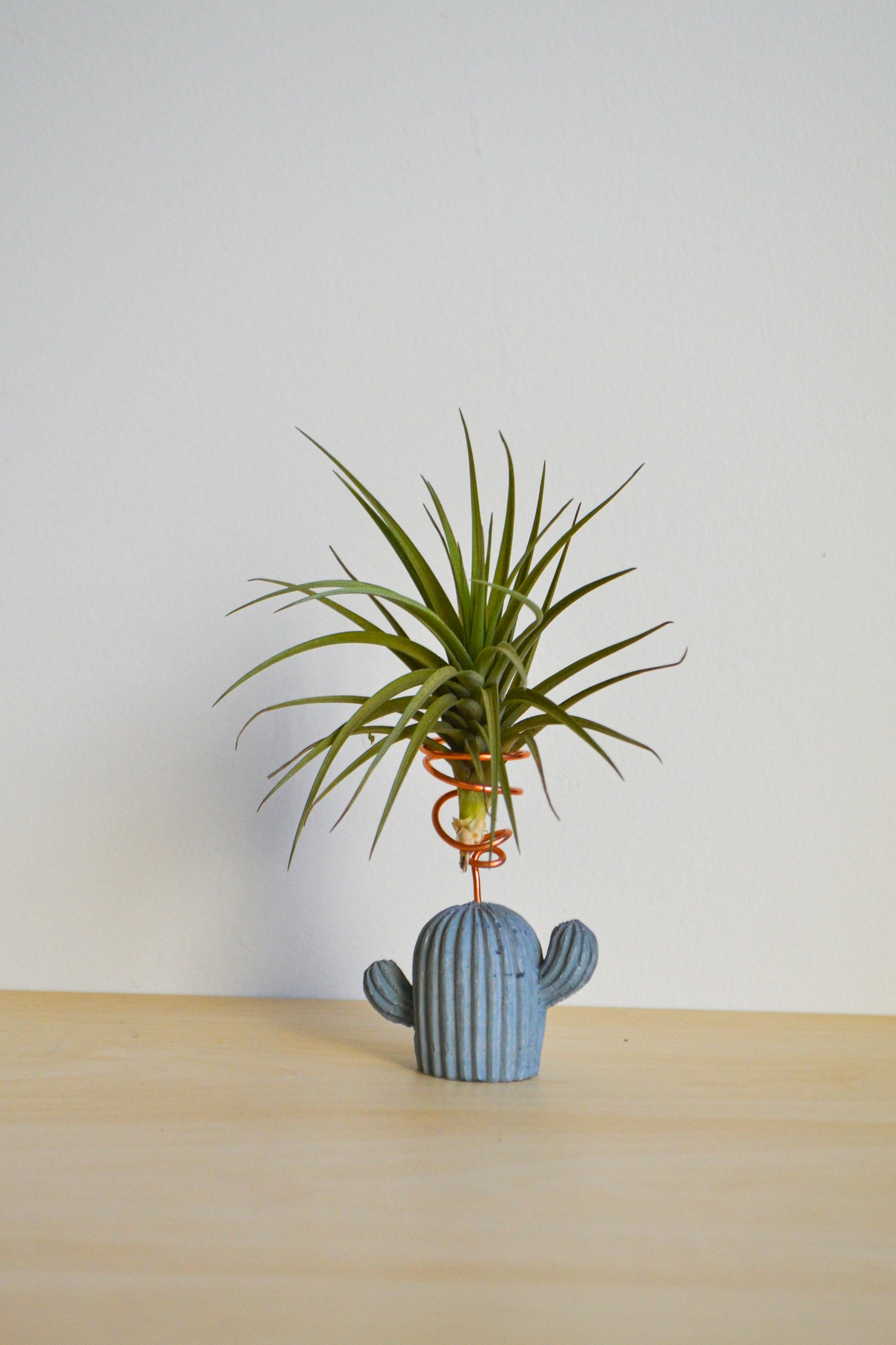 Cactus Airplant Holder