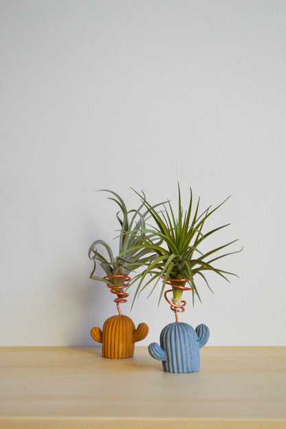 Cactus Airplant Holder