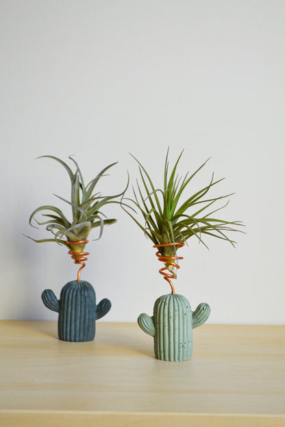 Cactus Airplant Holder