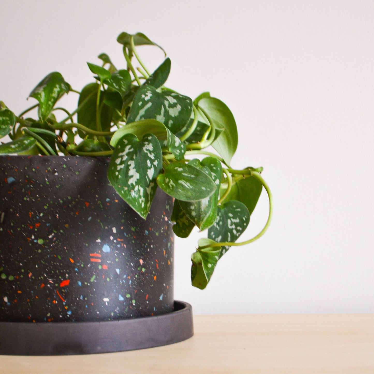 Zero Waste Terrazzo Planter