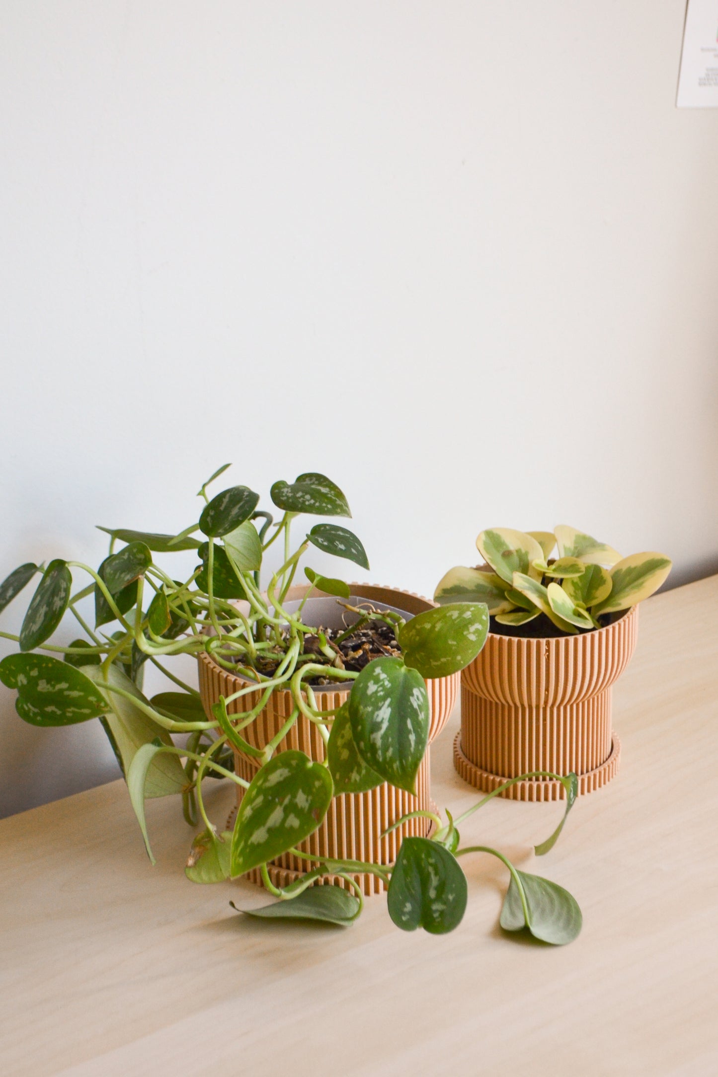Japandi Ridged Planter