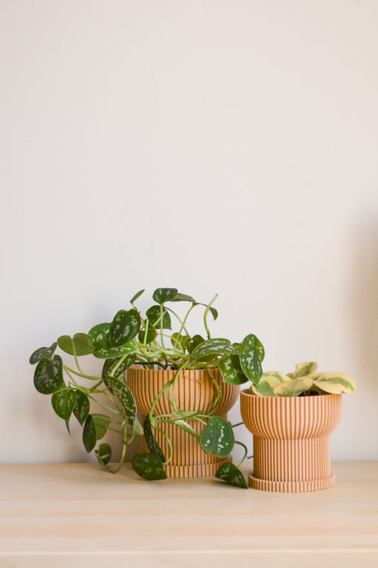 Japandi Ridged Planter