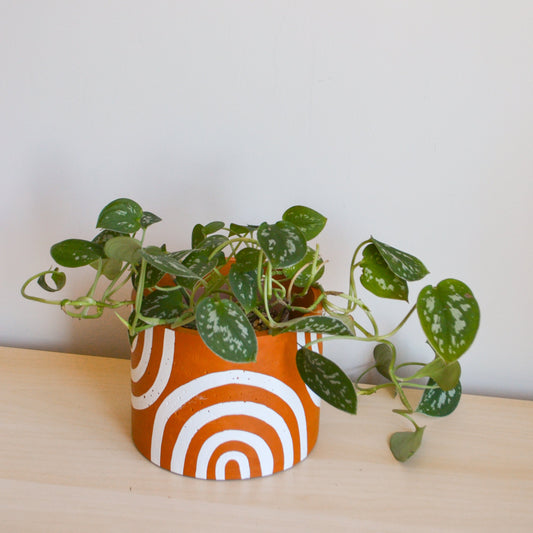 Hand-painted Terracotta Rainbow Planter
