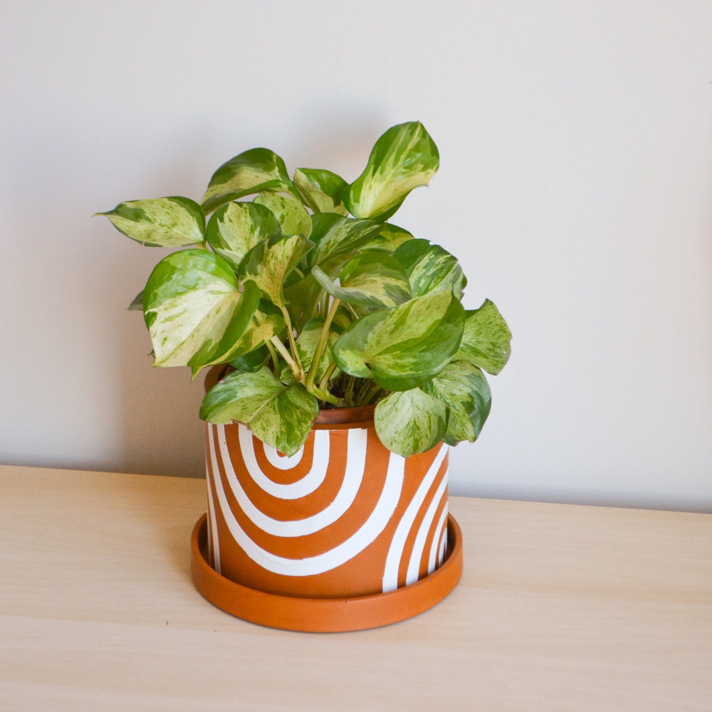 Hand-painted Terracotta Rainbow Planter