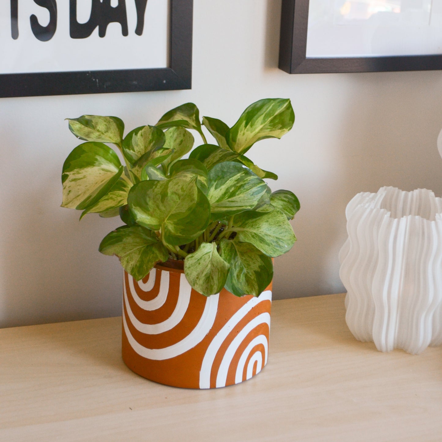 Hand-painted Terracotta Rainbow Planter