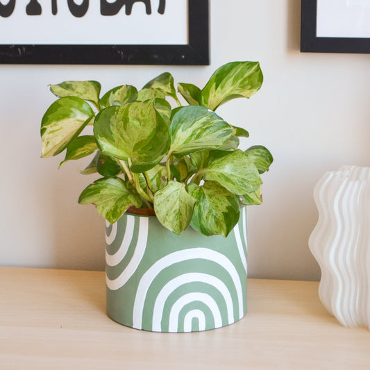 Hand-painted Mint Green Rainbow Planter