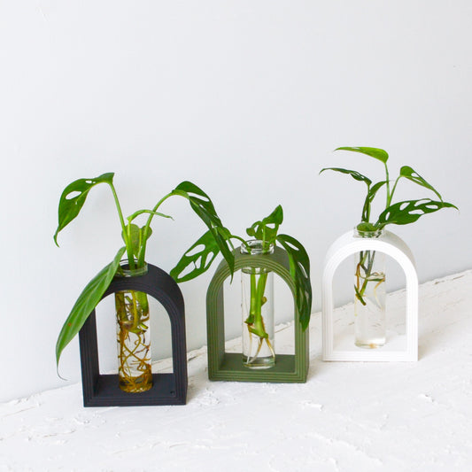 Arch Rainbow Propagation Vase
